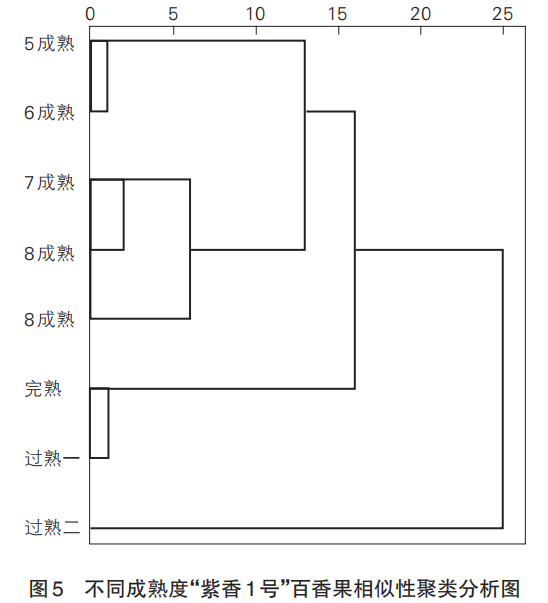 智能感官｜基于电子舌和理化特征分析成熟度对百香果食用品质的影响7