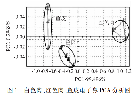 智能感官 基于电子鼻的鲫鱼肉新鲜度研究1