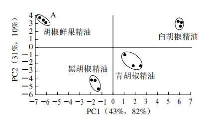 【智能感官】4 种胡椒精油风味特征分析7