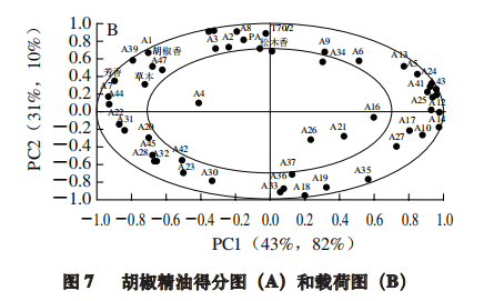 【智能感官】4 种胡椒精油风味特征分析8