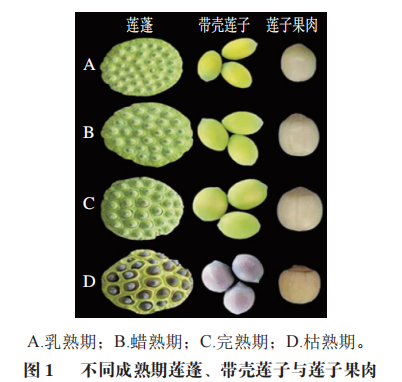 感官评价在鲜食莲子中的应用1