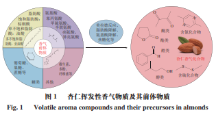 风味化学 杏仁中的香气化合物及热加工对香气的影响1