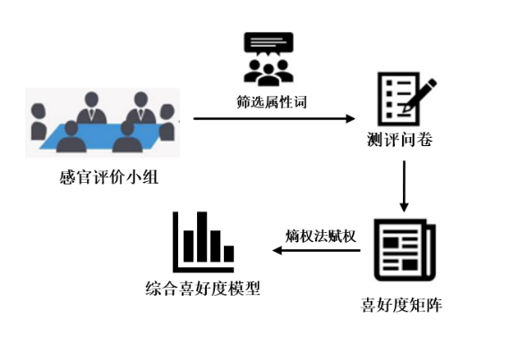 2023感官实践申报案例展示：基于熵权法的感官快速选品方法的建立3