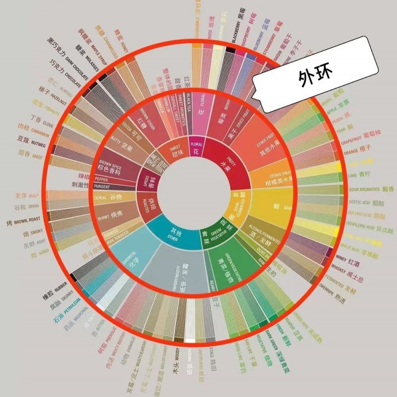 【宠粉福利】带你了解感官风味轮背景、特点及使用方法4