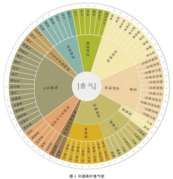 知识分享 I 中国茶叶感官审评术语基元语素研究与风味轮构建13