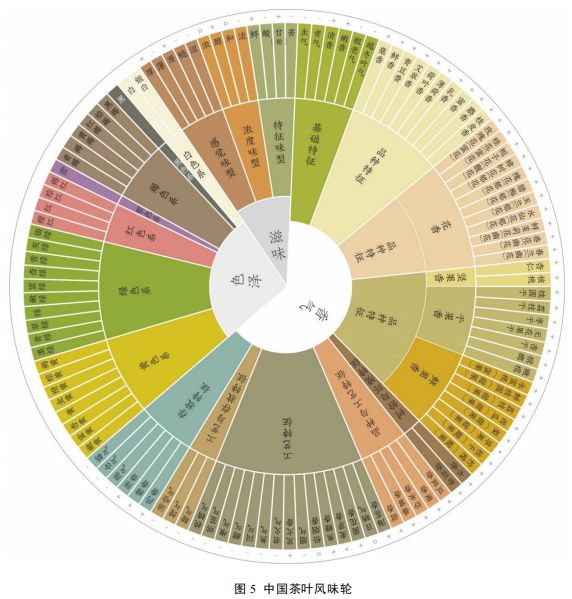 知识分享 I 中国茶叶感官审评术语基元语素研究与风味轮构建14