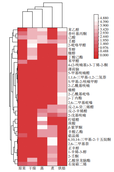 图2 沙枣经不同预处理后的特征香气物质含量变化热图