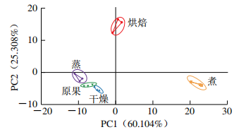 图5 不同预处理方式的沙枣样品PCA图
