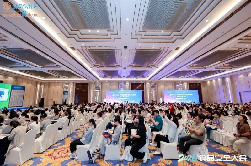 大会2