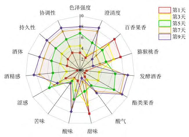 百香果1